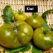 Kiwi-Tomate