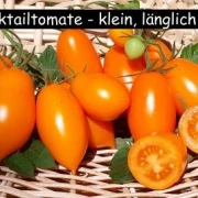 Cocktailtomate (klein länglich, orange)