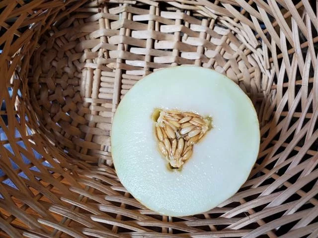 Zuckermelone