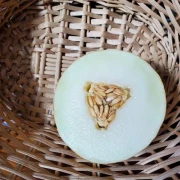 Zuckermelone