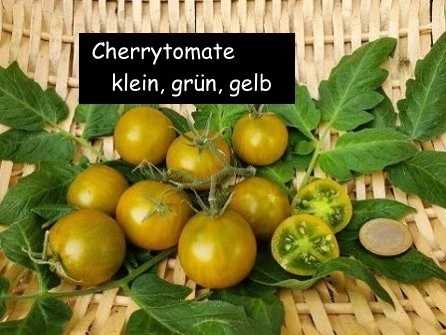 Cherrytomate (klein, grün, gelb)