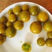 Cherrytomate (klein, grün, gelb)