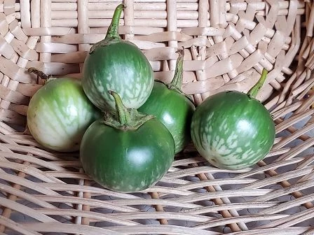 Thai Aubergine (Eggplant)