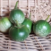 Thai Aubergine (Eggplant)