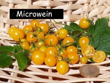 Microwein  (Multiflora)