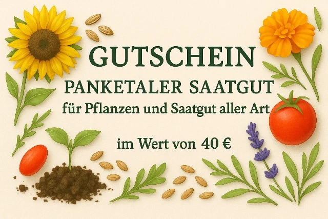 Gutschein