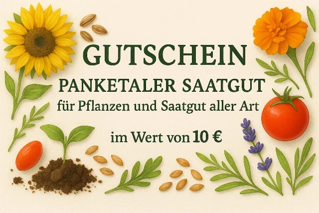 Gutschein