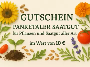 Gutschein