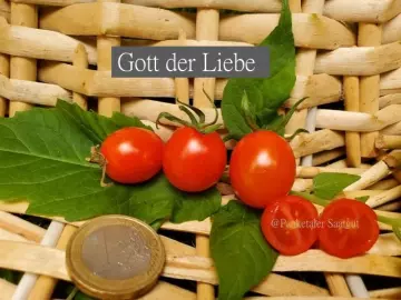 Gott der Liebe