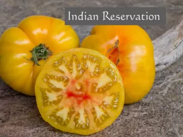 Indian Reservation1