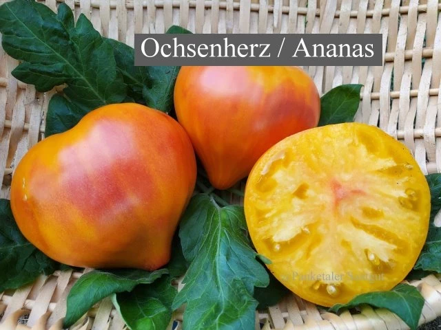 Ananas Ochenherz