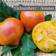 Ananas Ochenherz