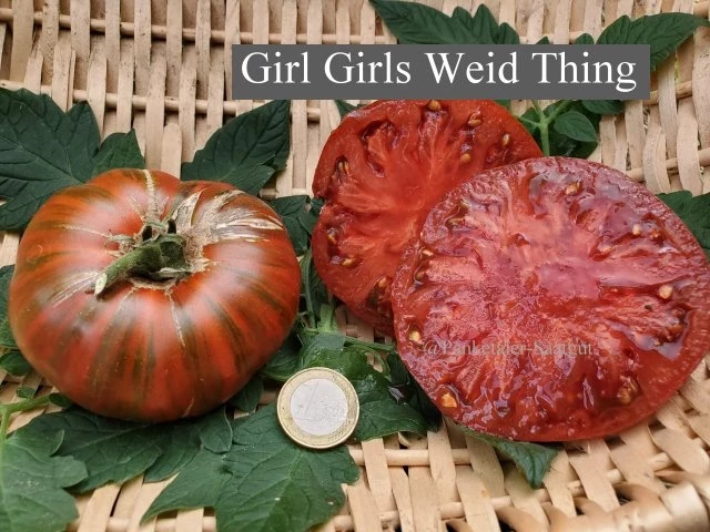 Girl Girls Weid Thing (Fleischtomate)