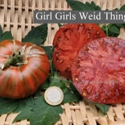 Girl Girls Weid Thing (Fleischtomate)