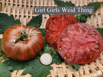 Girl Girls Weid Thing (Fleischtomate)