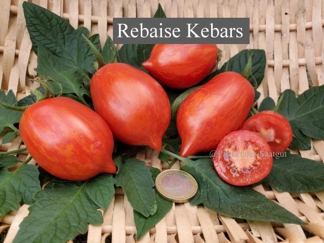 Raibais Ķekars