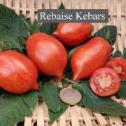 Raibais Ķekars