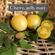 Cherry gelb, matt