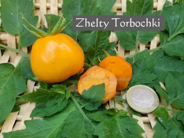 Zhelty Torbochki