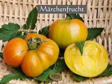 Märchenfrucht