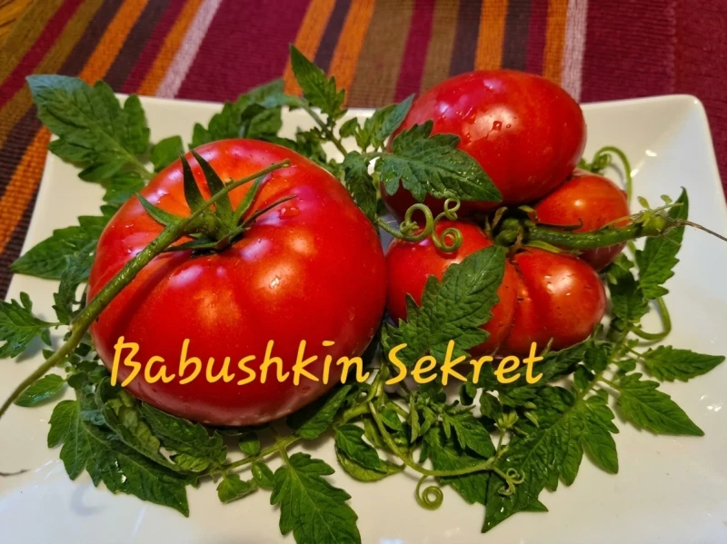 Babushkina Sekret