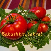 Babushkina Sekret