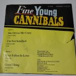 Fine Young Cannibals