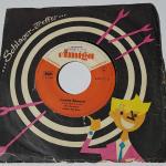 Mal Sondock / Orchester Wolfram Schöne – Juanita Banana / Fremder Stern