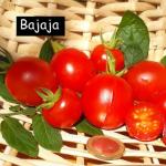 Bajaja - Strauchtomate