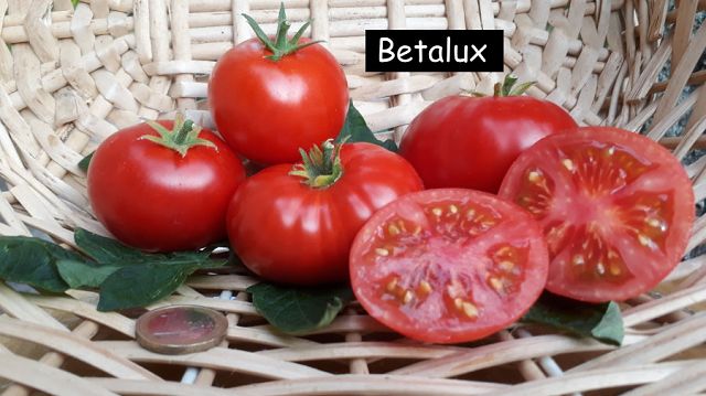 Betalux