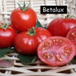 Betalux