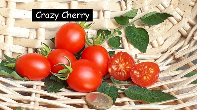Crazy Cherry