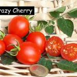 Crazy Cherry