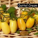 Dattel Cream