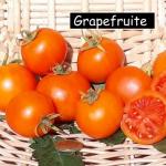 Grapefruite (Zlatava)