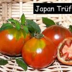 Japan Trüffel
