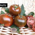 Kumato