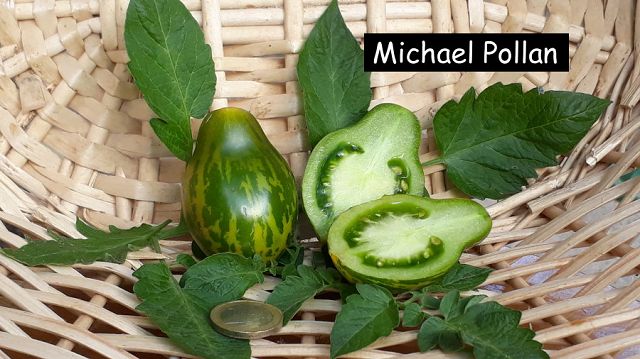Michael Pollan