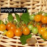 orange Beauty