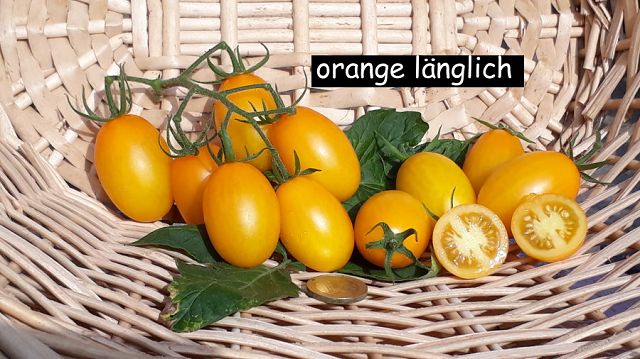 Datteltomate - orange länglich