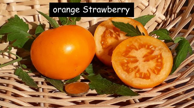 Orange Strawberry