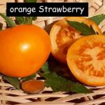 Orange Strawberry