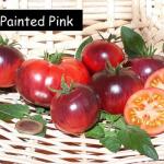 Painted Pink
