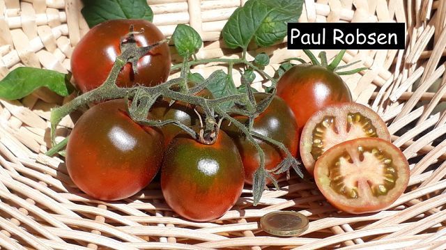 Paul Robsen