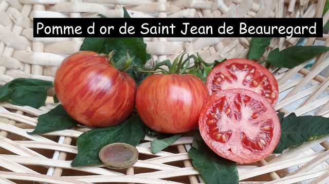 Pomme d or de Saint Jean de Beauregard