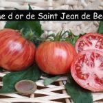 Pomme d or de Saint Jean de Beauregard