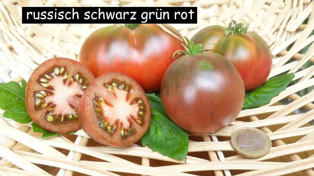 russisch schwarz grün rot