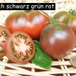 russisch schwarz grün rot