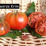 schwarze Krim