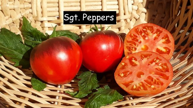 Sgt. Peppers
